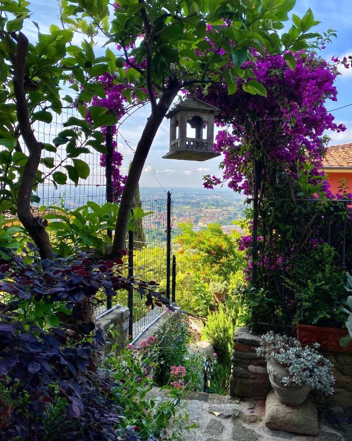 La Magione Dei Todaro Borgo a Buggiano Exterior foto